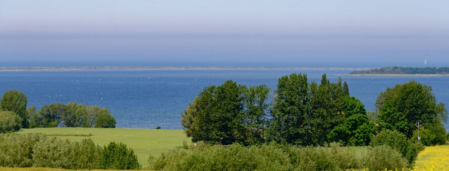 Natur Insel Poel