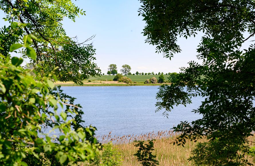 Urlaub auf der Insel Poel