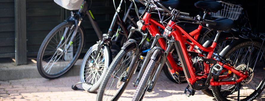 Fahrradverleih Hotel zur Seemöwe