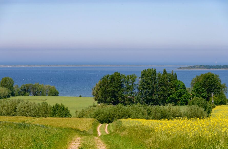 Natur Insel Poel