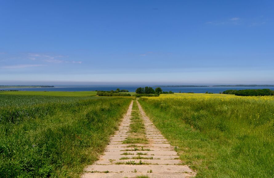 Reiten Insel Poel